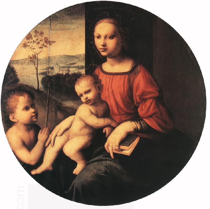 BUGIARDINI, Giuliano Virgin and Child with the Infant St John the Baptist oil painting picture